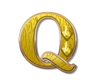 Q symbol in Paddy O'Plunder slot