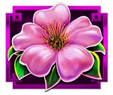 Flower symbol in Divine Empress slot