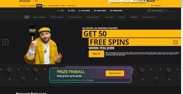 Betfair casino: Website