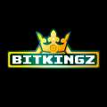 Bitkingz India