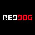 RedDog India