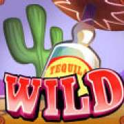 Wild symbol in Diamond Valley Pro slot