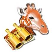 Africa Gold: Giraffe, Binoculars