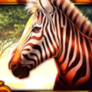 African Luck: Zebra