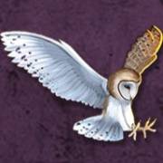 Age of Athena: Owl