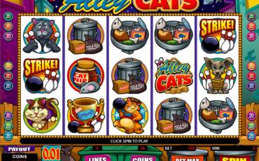 Alley Cats slot