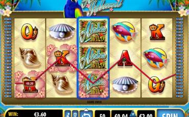 Aloha Island slot