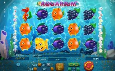 Aquarium slot