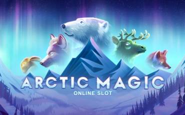 Arctic Magic slot