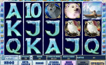 Arctic Treasure slot