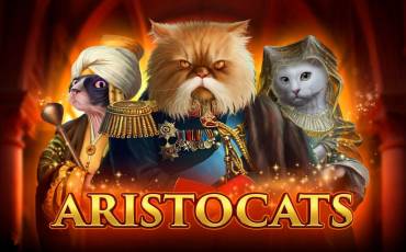 Aristocats slot