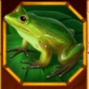 Frog symbol in Dawn of El Dorado slot