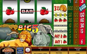 Big 5 slot