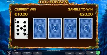 Big Brown: Risk game