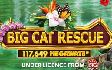 Big Cat Rescue Megaways slot