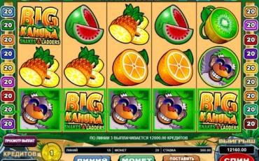 Big Kahuna: Snakes and Ladders slot