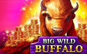 Big Wild Buffalo (Belatra)