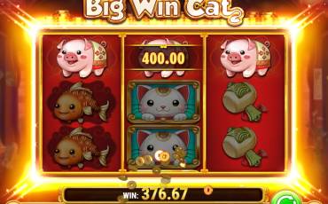 Big Win Cat slot