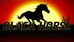 Black Horse