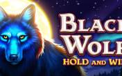 Black Wolf (3 Oaks Gaming)