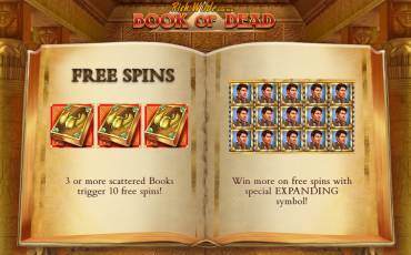 Book of Dead slot