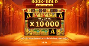 Book Of Gold Multichance