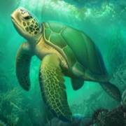 Book of Poseidon: Turtle