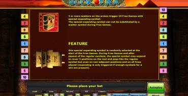 Book of Ra Deluxe: Rules