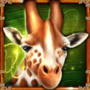 Book Of Savannah’s Queen: Giraffe