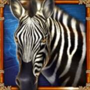 Book Of Savannah’s Queen: Zebra