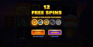 Bozo Cats: Free spins