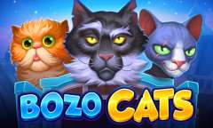 Play Bozo Cats