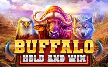 Buffalo Hold And Win slot