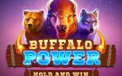 Buffalo Power: Hold and Win (Playson)