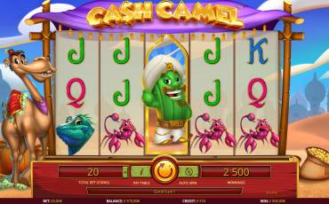 Cash Camel slot