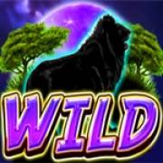 Wild symbol in Cat Peak slot