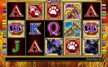 Cats slot