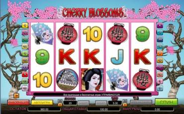 Cherry Blossoms slot