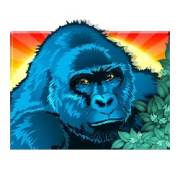 Gorilla symbol in Congo Cash slot