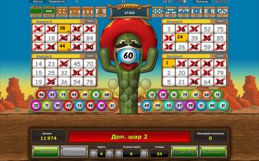 Crazy Cactus Bingo slot