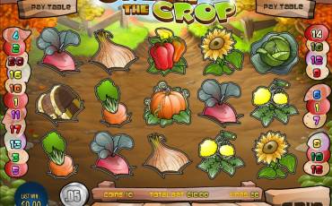 Cream of the Crop slot