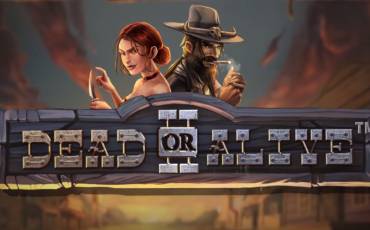 Dead or Alive 2 slot