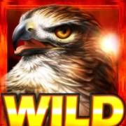 Desert Hawk: Wild