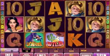 Diamond Valley Pro: Slot machine