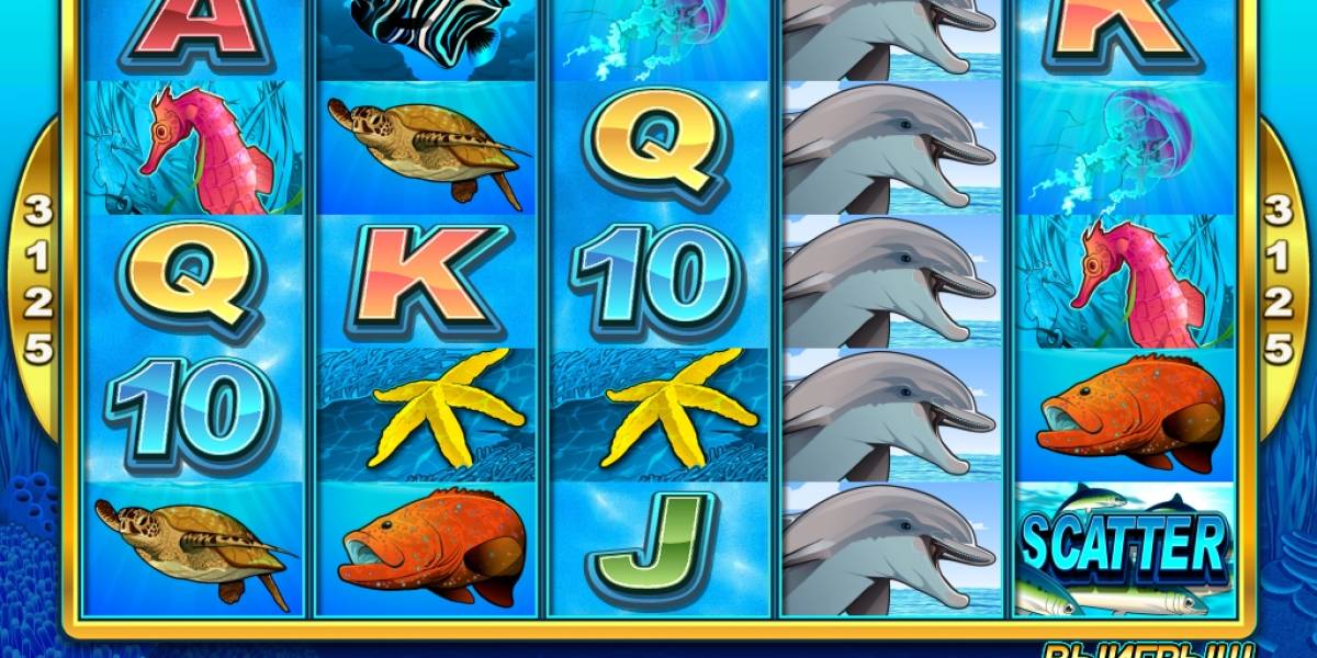 Dolphin Coast slot