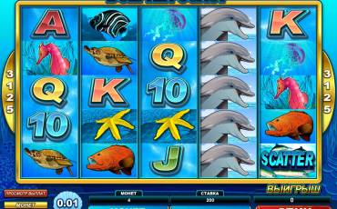 Dolphin Coast slot