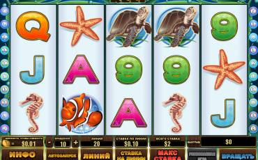 Dolphin Reef slot