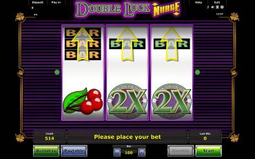 Double Luck Nudge slot