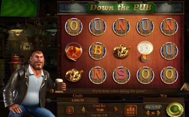 Down the Pub slot