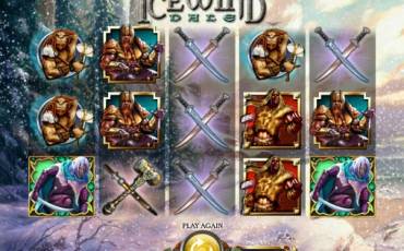 Dungeons & Dragons – Treasures of Icewind Dale slot